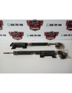AMORTIGUADORES TRASEROS GAS RENAULT 25