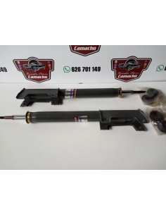 AMORTIGUADORES TRASEROS GAS RENAULT 25 2