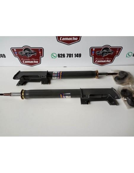 AMORTIGUADORES TRASEROS GAS RENAULT 25