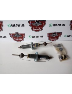 AMORTIGUADORES DELANTEROS RENAULT 25