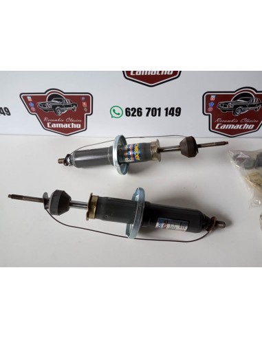 AMORTIGUADORES DELANTEROS RENAULT 25