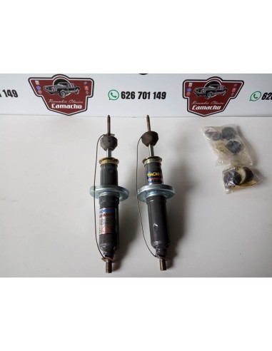 AMORTIGUADORES DELANTEROS RENAULT 25