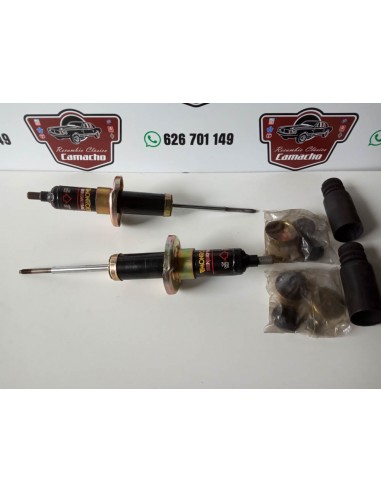 AMORTIGUADORES DELANTEROS GAS RENAULT 25
