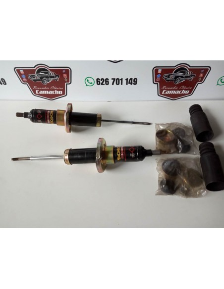 AMORTIGUADORES DELANTEROS GAS RENAULT 25
