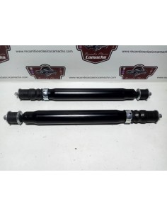 Pareja amortiguador trasero Renault 12 todos los modelos 2