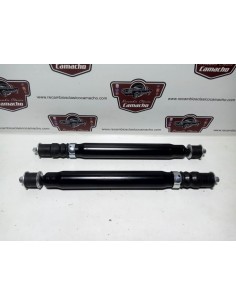 Pareja amortiguador trasero Renault 12 todos los modelos