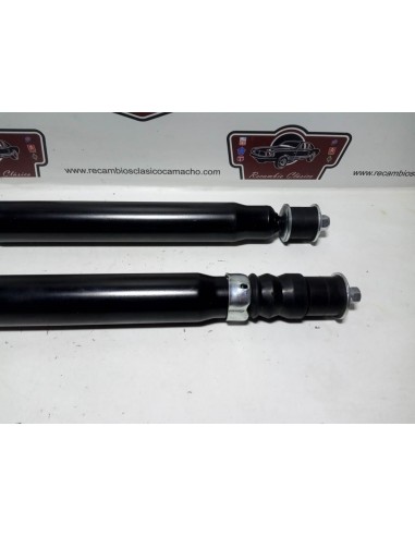 Pareja amortiguador trasero Renault 12 todos los modelos