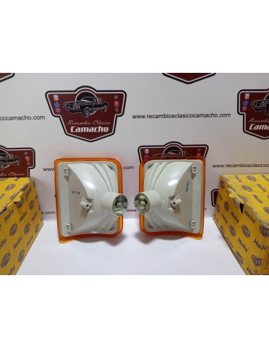 PAREJA PILOTO INTERMITENCIA CAMION DAF 95