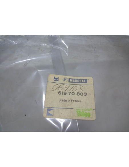 PAREJA CERQUILLO BISEL FARO PEUGEOT 505