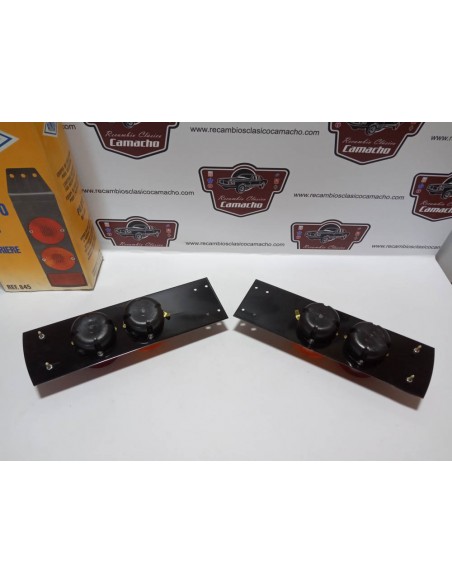 PAREJA PILOTO TRASERO COLGANTE RINDER CAMION CLASICO